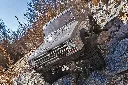 gallery19.webp