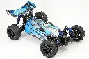 gallery4.webp