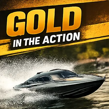 🥇Gold | In the Action | Loyalty Scheme Annually